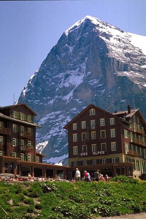 こちらの企業に工事シートを制作依頼しよう