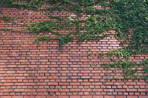 新潟市を中心に展開する不動産会社