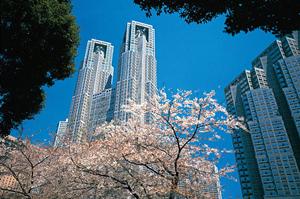 北斗市での不動産売却を成功させるための完全ガイド：適正価格・スムーズな手続き・最新相場情報