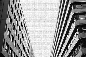 高品質なくさび材の選び方と効率的な利用法：建設現場の安全性を向上させる完全ガイド