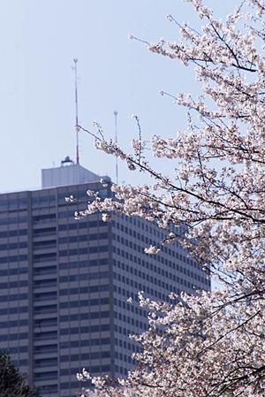 東京都内で店舗売買を考えるなら