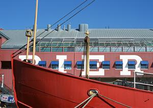 テレワークで生産性が上がった例