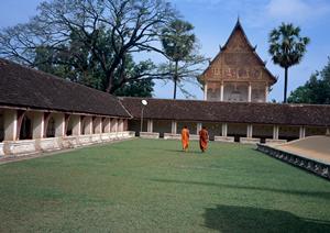 余っている土地で太陽光発電するなら