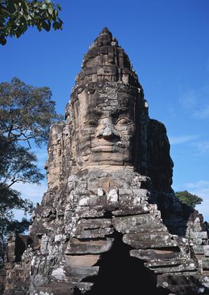 特殊建築物定期報告の依頼をお探しなら