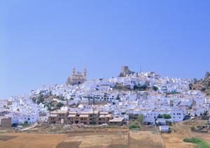 岩手県の不動産の情報が確認できるサイト