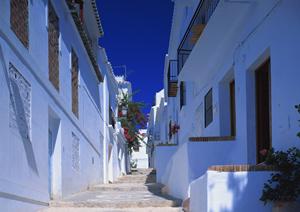 郡山市の信頼できる不動産仲介会社