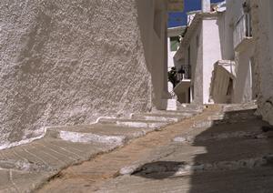 長岡市で外壁塗装のプロが解説！家の価値アップと耐久性を向上させる方法