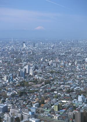 山口市で頼りになる不動産屋はここです